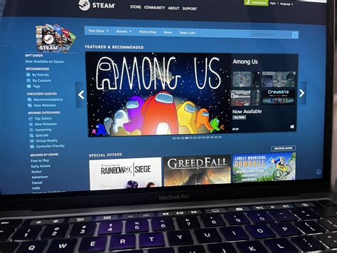 Can You Play Steam Games on a MacBook? And Why Do Cats Love Watching You Game?