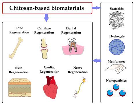  Dextran: A Biocompatible Wonder for Drug Delivery and Tissue Engineering Applications!