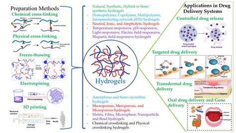  Dextran: Unveiling Its Secrets as a Biocompatible Hydrogel for Controlled Drug Delivery