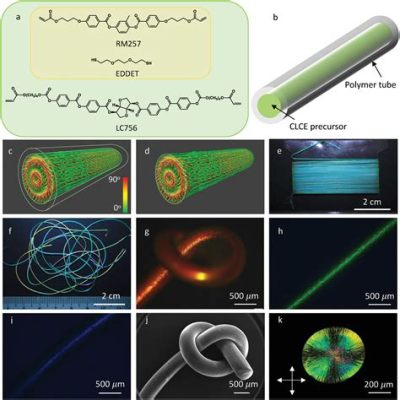  Elastomer Fibers – Weaving Wonder and Flexibility into Tomorrow's Textiles!