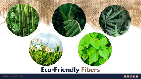 Flax Fiber: Exploring Sustainable and Durable Textile Applications!