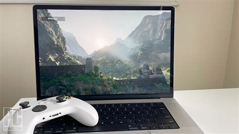 How to Play Windows Games on Mac Steam: A Journey Through Digital Alchemy