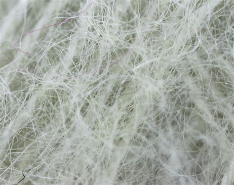 Mohair: Exploring the Luxurious Fibers Derived From Angora Goats for Superior Textile Applications!