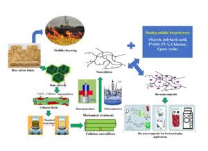 Nanocellulose: The Unsung Hero for Sustainable Packaging and High-Performance Composites?