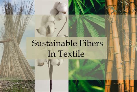  Urtica Dioica Fiber: Exploring its Potential for Sustainable Textile Innovations!