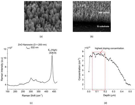 Zinc Oxide Nanowires: Revolutionizing Solar Cells and Transparent Electronics!